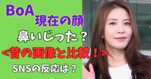 BoA現在の画像鼻は整形か？