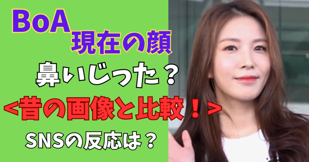 BoA現在の画像鼻は整形か？