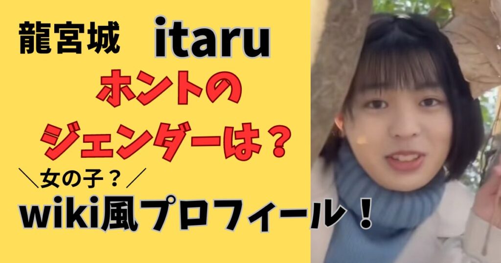龍宮城itaruのジェンダー性別は女の子?wiki風プロフィール